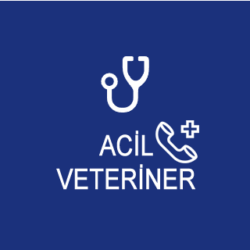 acil-servis-pi-life-vet